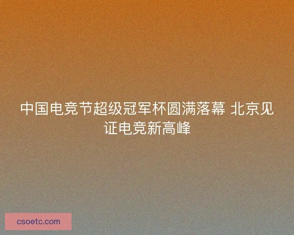 中国电竞节超级冠军杯圆满落幕 北京见证电竞新高峰