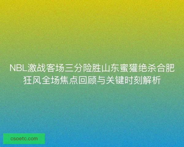 NBL激战客场三分险胜山东蜜獾绝杀合肥狂风全场焦点回顾与关键时刻解析